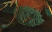 Jan van Huijsum Blumen und Fruchte oil painting artist